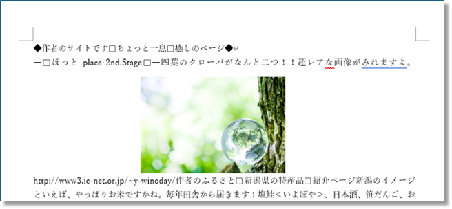 Wordに画像貼りこみ-001