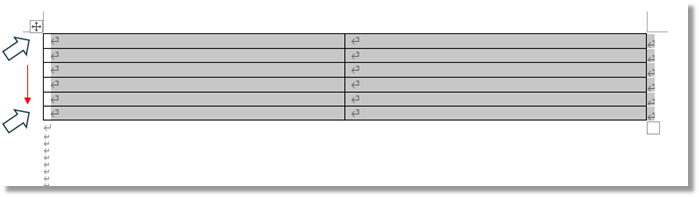 表全体を選択