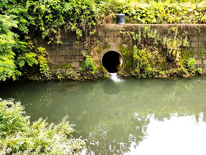 生活排水は地球汚染の大きな原因