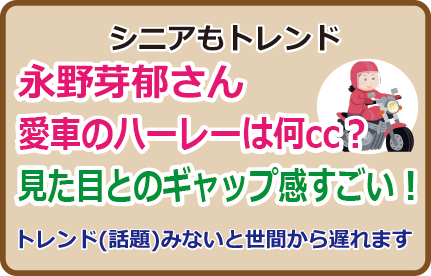 永野芽郁さん愛車のハーレーは何cc？見た目とのギャップ感すごい！
