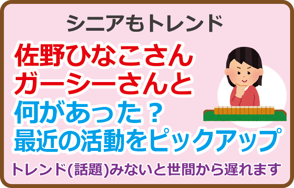 佐野ひなこさんガーシーさんと何があった？最近の活動などをピックアップ