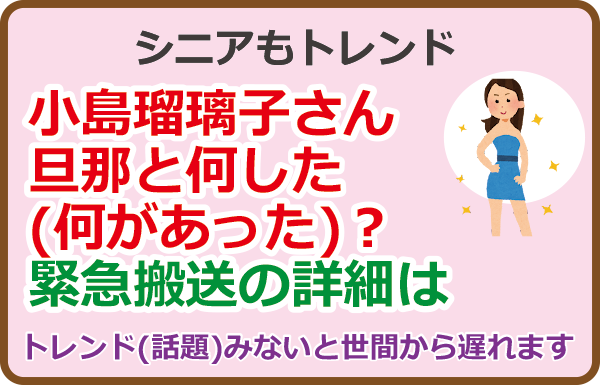 小島瑠璃子さん旦那と何した（何があった）？緊急搬送の詳細は