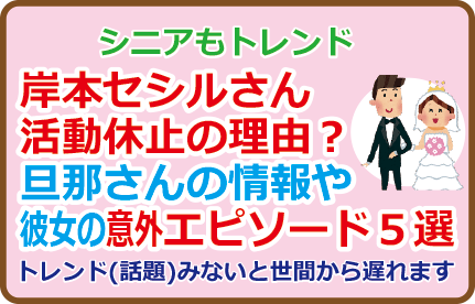 岸本セシルさん活動休止の理由?旦那さんの情報や彼女の意外エピソード5選
