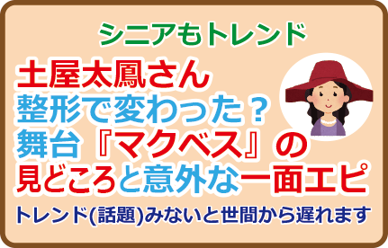 土屋太鳳さん整形で変わった?舞台『マクベス』の見どころと意外な一面エピ