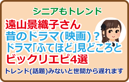遠山景織子さん昔のドラマ(映画)?ドラマ「ふてほど」見どころとビックリエピ4選