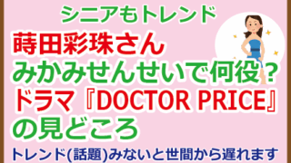 蒔田彩珠さんみかみせんせいで何役?ドラマ『DOCTOR PRICE』の見どころ