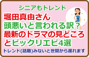 堀田真由さん頭悪いと言われる訳？最新のドラマの見どころとビックリエピ4選