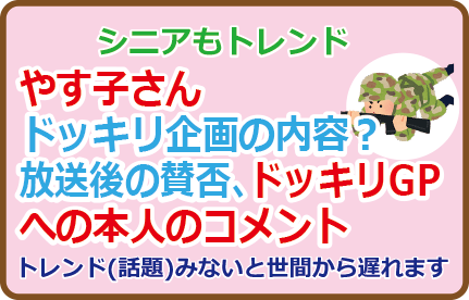 やす子さんドッキリ企画の内容?放送後の賛否、ドッキリGPへの本人のコメント
