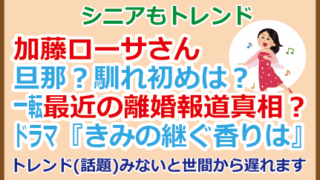 加藤ローサさん旦那?馴れ初めは?最近の離婚報道真相は?ドラマ『きみの継ぐ香りは』