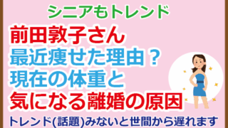 前田敦子さん最近痩せた理由?現在の体重と離婚の原因