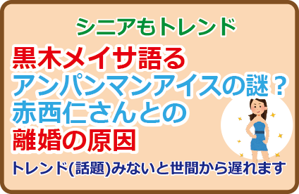 黒木メイサ語るアンパンマンアイスの謎？赤西仁さんとの離婚の原因