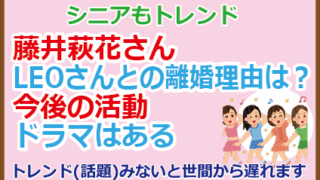 藤井萩花さんLEOさんとの離婚理由は？今後の活動ドラマは
