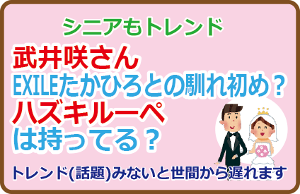 武井咲さんEXILEたかひろとの馴れ初め?ハズキルーペは持ってる?