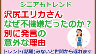 沢尻エリカさんなぜ不機嫌だったのか？別に発言の意外な理由