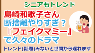 島崎和歌子さん断捨離やりすぎ？『フェイクマミー』で久々のドラマ