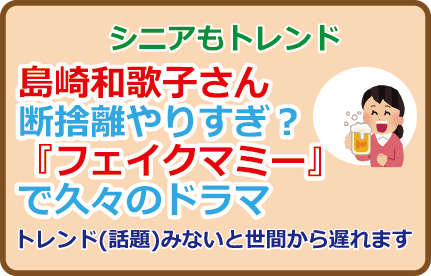 島崎和歌子さん断捨離やりすぎ？『フェイクマミー』で久々のドラマ