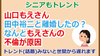 山口もえさん田中裕二と離婚したの？もえさんの不倫が原因
