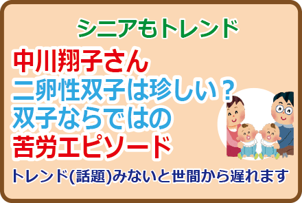 中川翔子さん二卵性双子は珍しい?双子ならではの苦労エピ